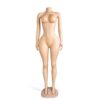 BBL Full Mannequin