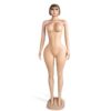 BBL Full Mannequin