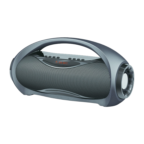 Speaker